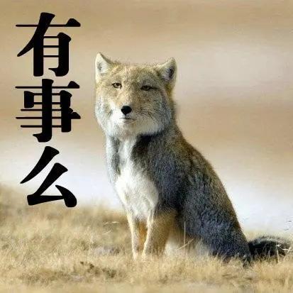 大学选地理专业高中怎么选,地理科学专业值得学吗