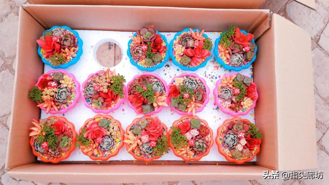 廊坊杨税务集市,在早市遇见久违的人间烟火气