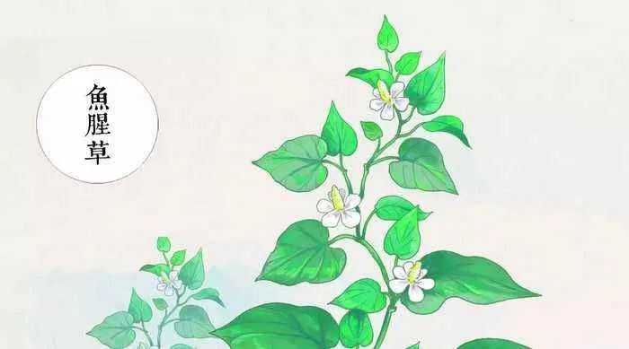 怎样看skii小白瓶是真是假,skii修复肌肤