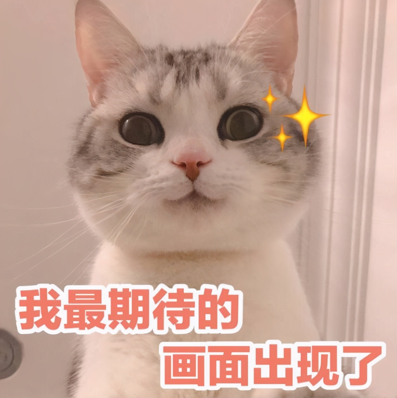 2021kpl秋季赛总决赛门票在哪里买,qq飞车手游s联赛总决赛门票多少钱