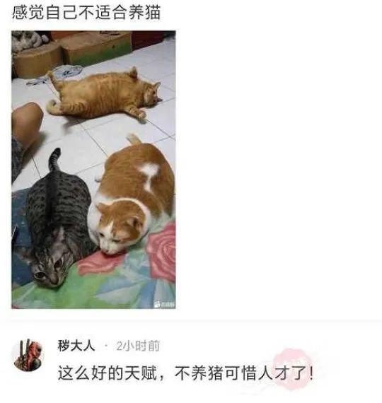 小时候的感觉我感同身受,小时候的我感同身受完整版