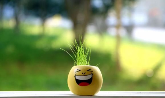 让身体越来越好的咒语,让身体恢复健康的咒语