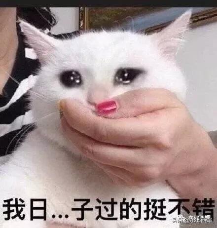 记不住她变化莫测的脸有什么关系？三层楼超豪华别墅过目难忘