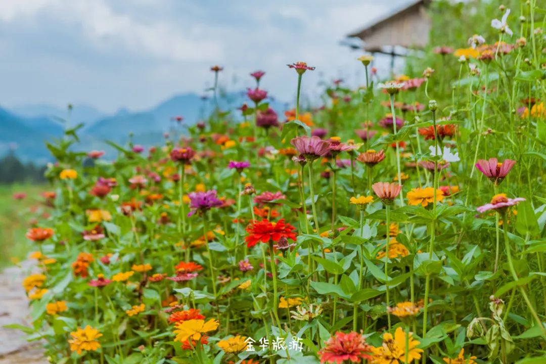 藏在崇山峻岭深处的世外桃源,藏在深山老林里的世外桃源
