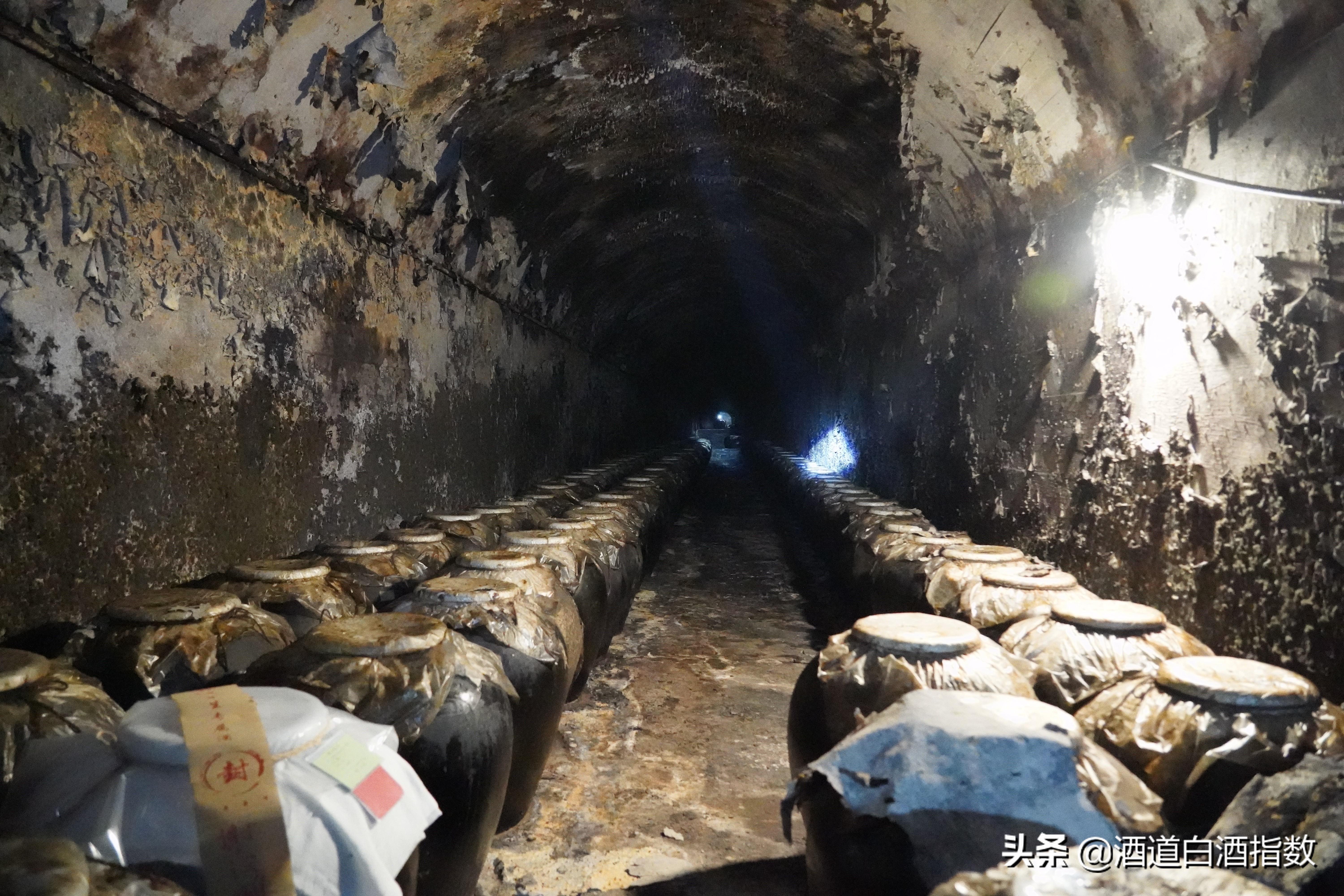 探索深藏闹市的百亿酒窖揭开清朝老酒神秘面纱——袁曦藏老酒会馆