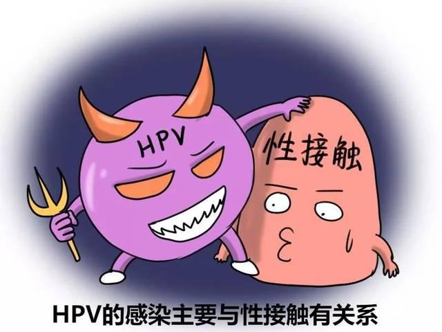 hpv主要是由什么原因引起的,hpv为什么变来变去