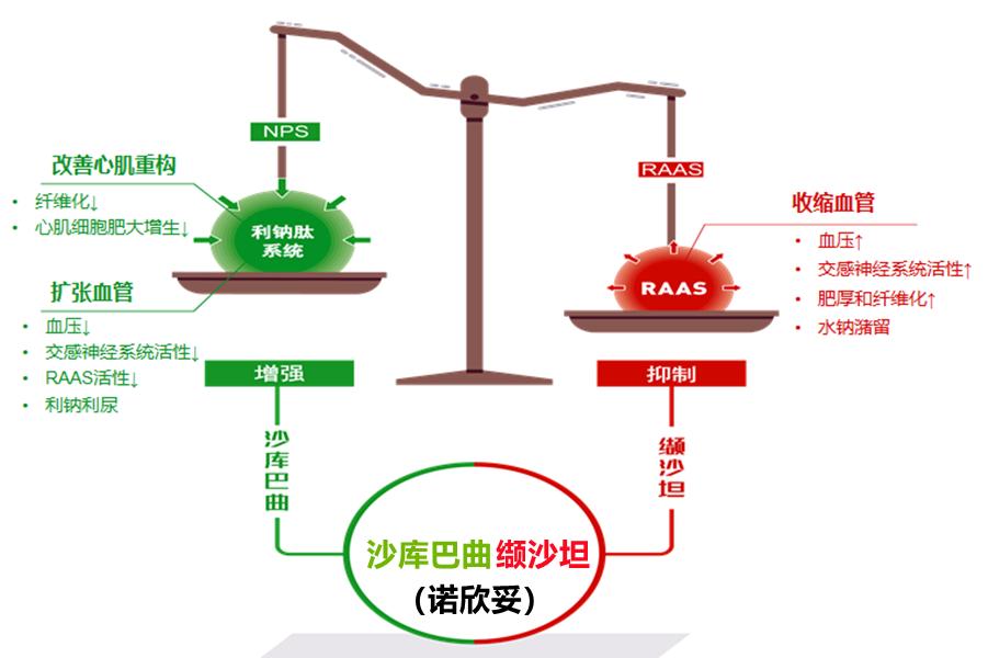心衰药物治疗新金三角是哪三类药,心衰金三角药用法用量