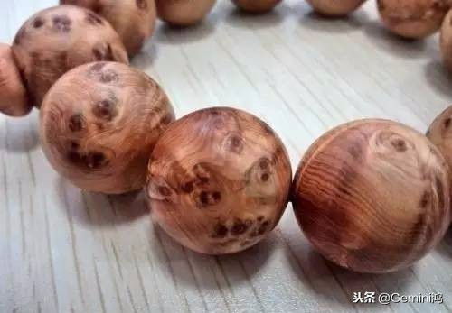 崖柏的正确保护方法,崖柏的十大忌讳