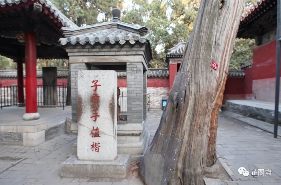 孔林各个时代的墓葬,孔林埋葬孔子家族墓葬多少座