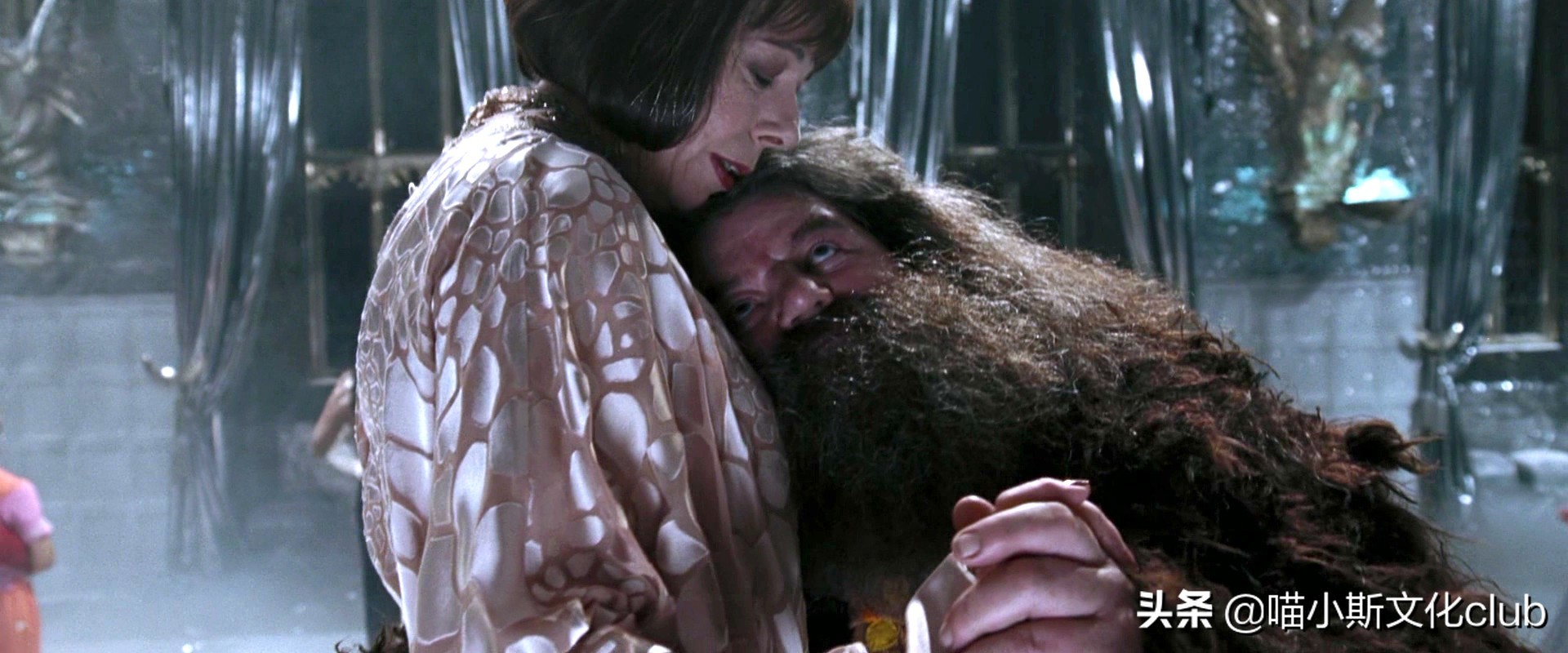 哈利波特中的海格是怎么死的,海格和马克西姆夫人身高差