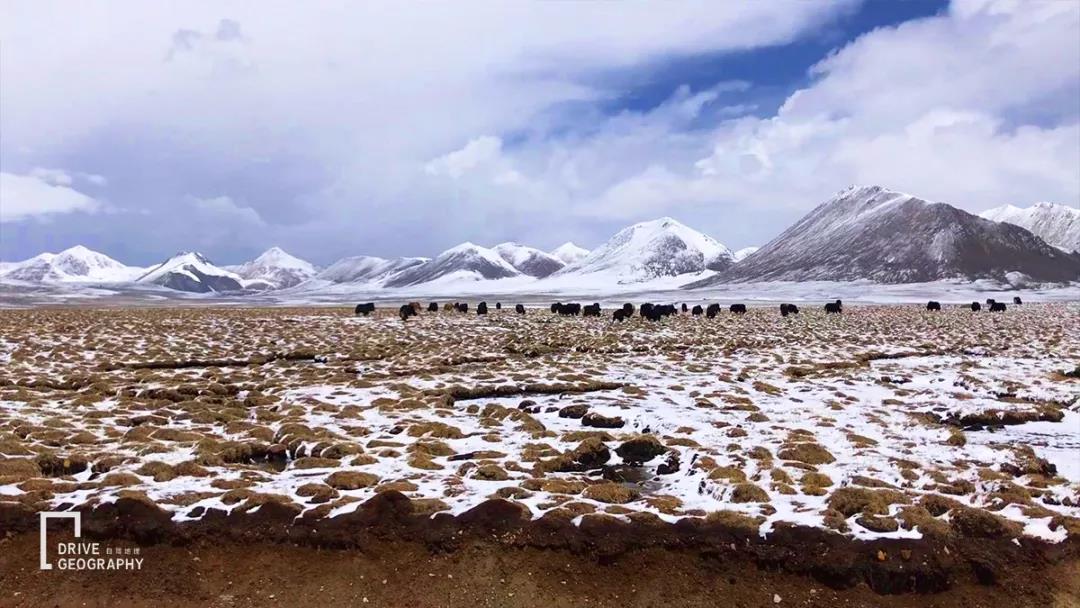 老司机带你跑十天高速,34小时1600公里拉力赛世界纪录