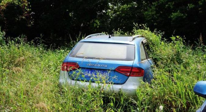 川汽野马山寨,川汽野马现状