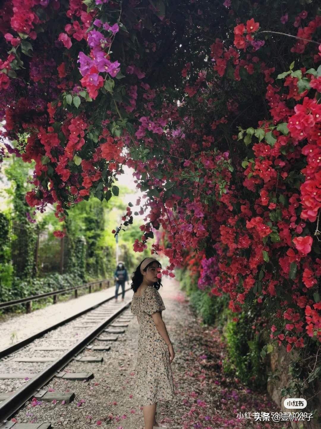 被大理的美景所折服,被丽江的风景美到了