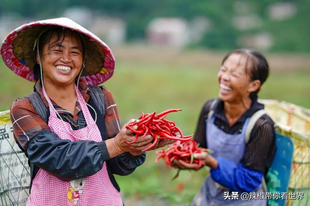 从西到东:贵州——沿河流“黔”行在这里一万种辣椒吃法向你奔来