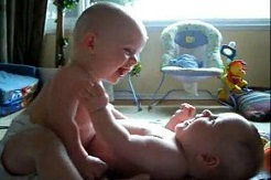 每天十条冷知识第61讲，狗不能吃海带？