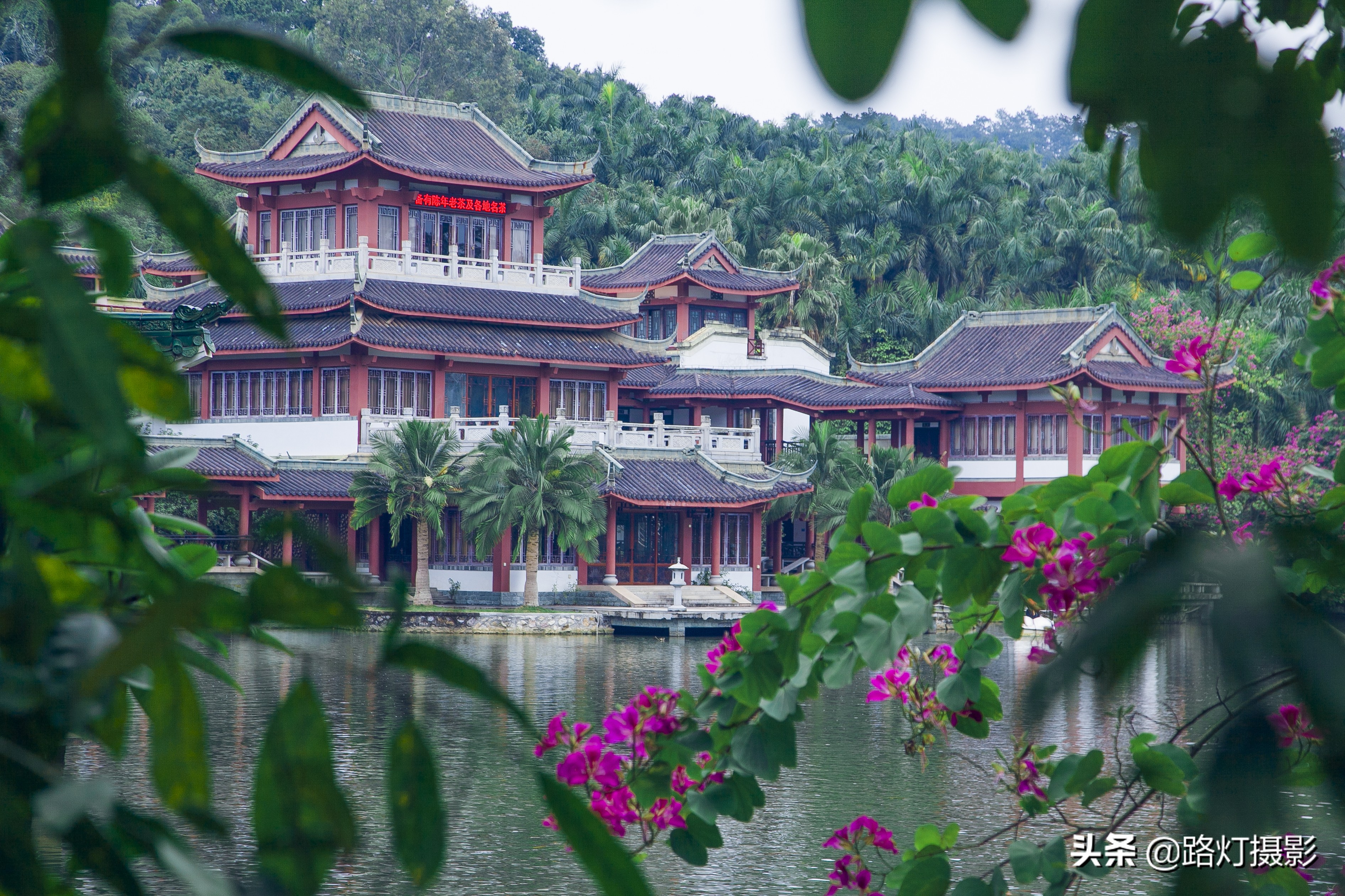 广西最适合养老的景点,广西适合老人旅游的地方