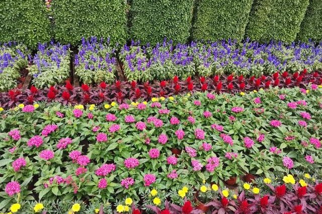 南京天印湖公园,江宁区大学城天印湖公园