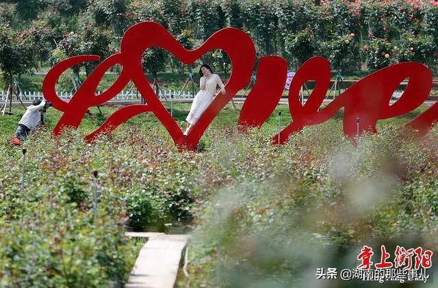 衡阳市天气预报30天查询百度,衡阳市天气预报app