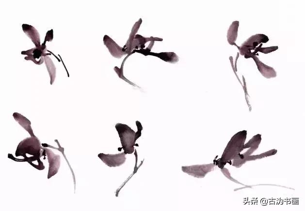 徐湛国画兰花技法教学,国画兰花入门技法