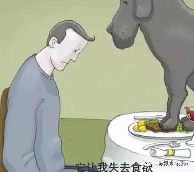 我有一只叫抑郁症的黑狗音频,我有一只叫抑郁症的黑狗主要内容