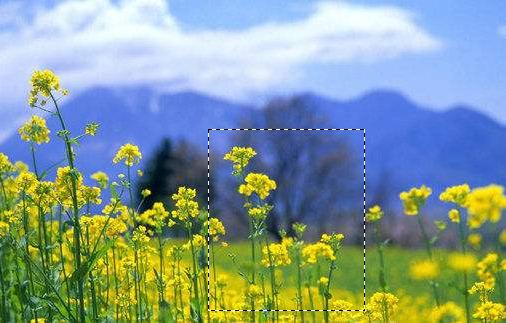 ps2019版矩形选框工具怎么填充颜色,ps选框入门基础知识