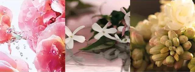 gucci古驰flora经典花之舞女士香水,guccipourhommeii男性淡香水