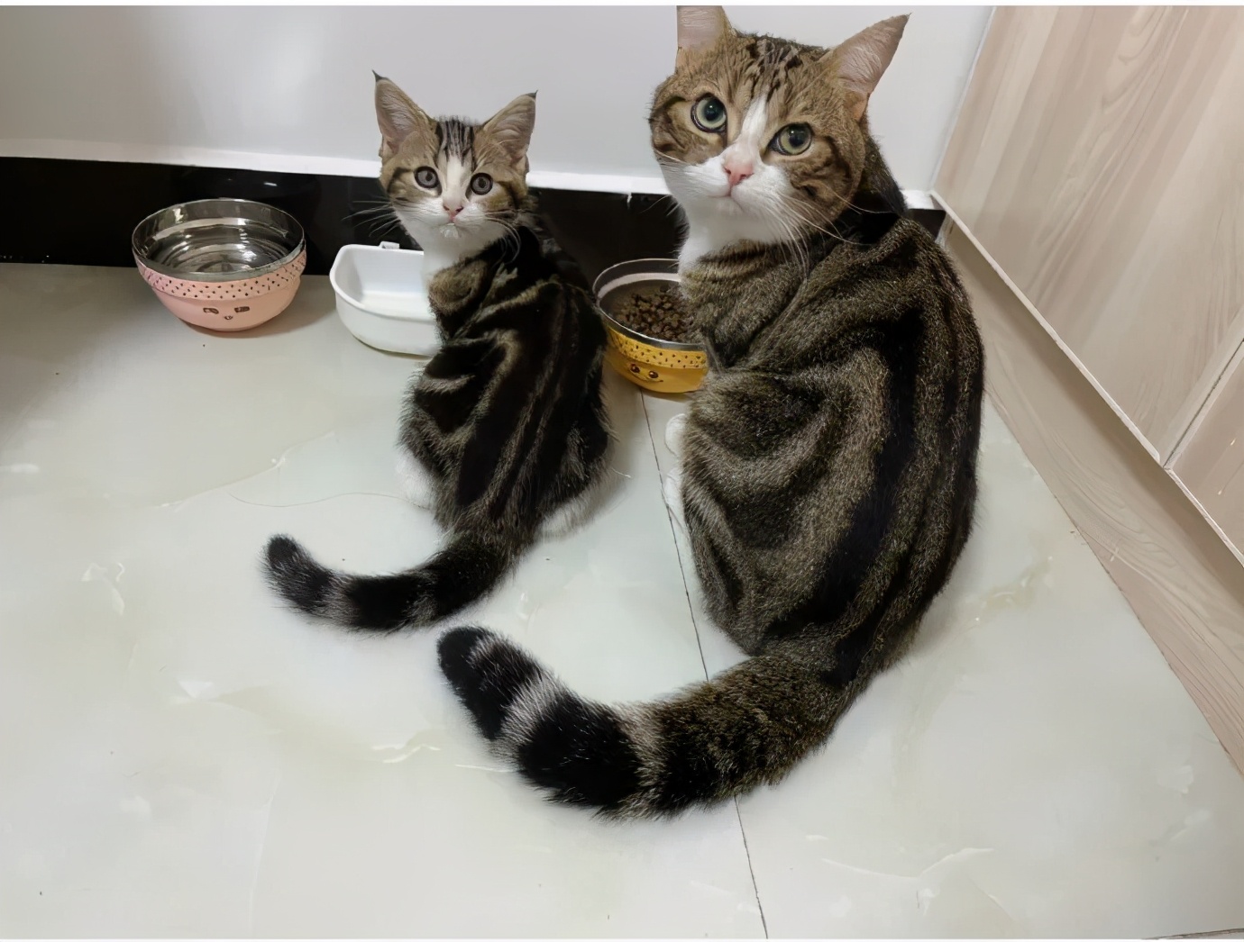 每日一难题中午吃什么,每日一苦恼中午吃什么