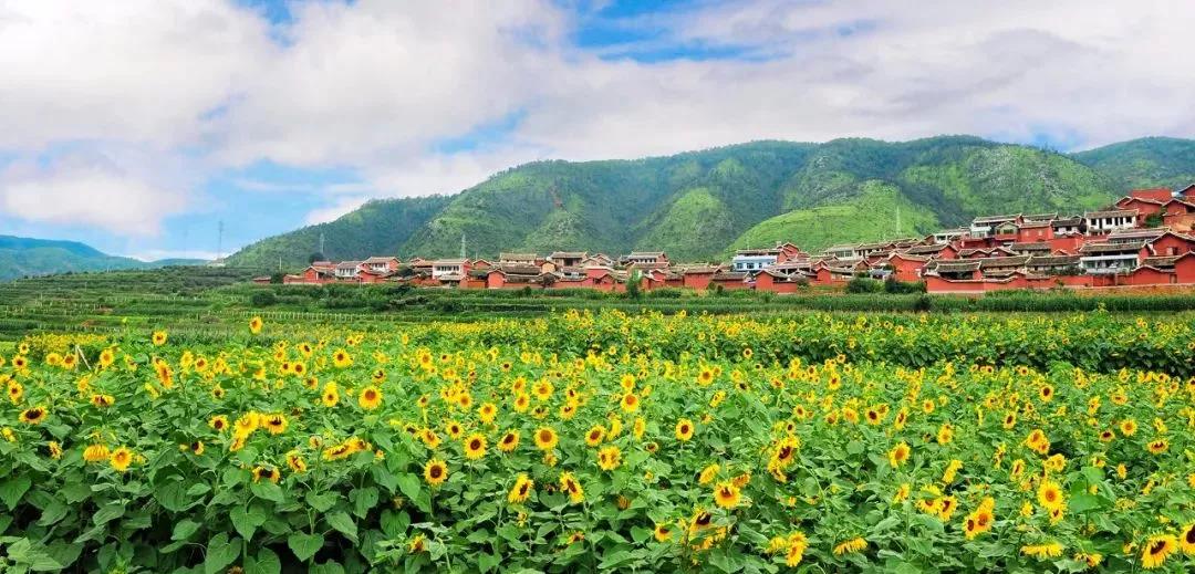 收藏！吐血整理《2019攀枝花大全》，看完秒变“地道”攀枝花人~