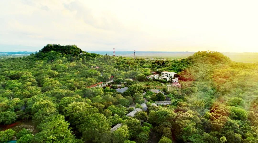 五一期间海口火山口有什么活动,海口五一火山口地质公园