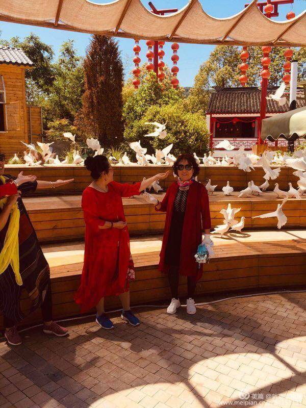 西安银色年华恒大城颐养服务站：为爱出发健康前行瀛湖旅居之旅！