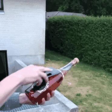 被香槟酒瓶塞打懵是一种什么体验?沙雕们纷纷给出答案