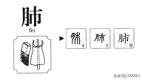 最容易错的几个字,一写就错的40个成语