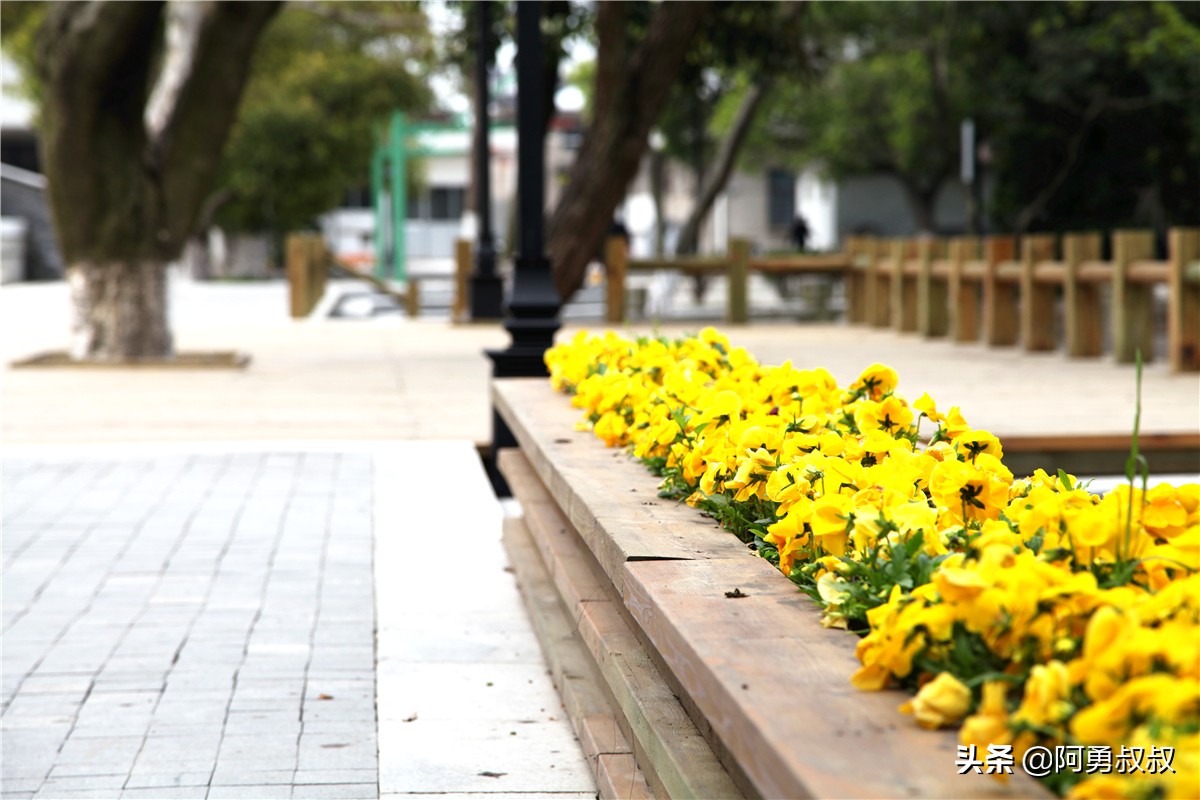 全国百强高中苏州有几个,苏州实验中学科技城校区