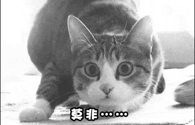 淘宝造物节10天,淘宝卖家全民疯抢