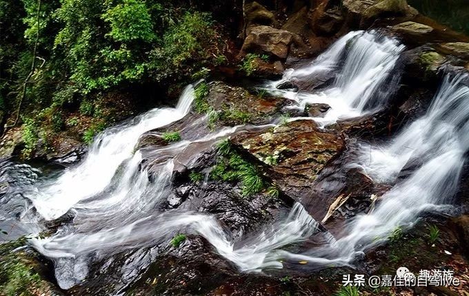 云顶山一日游记,福建云顶山旅游攻略