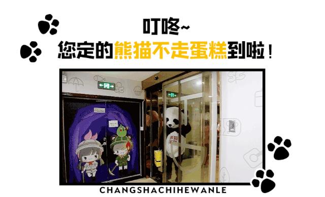 人均不到10元！买蛋糕送“熊猫”！火遍全国的网红蛋糕来啦