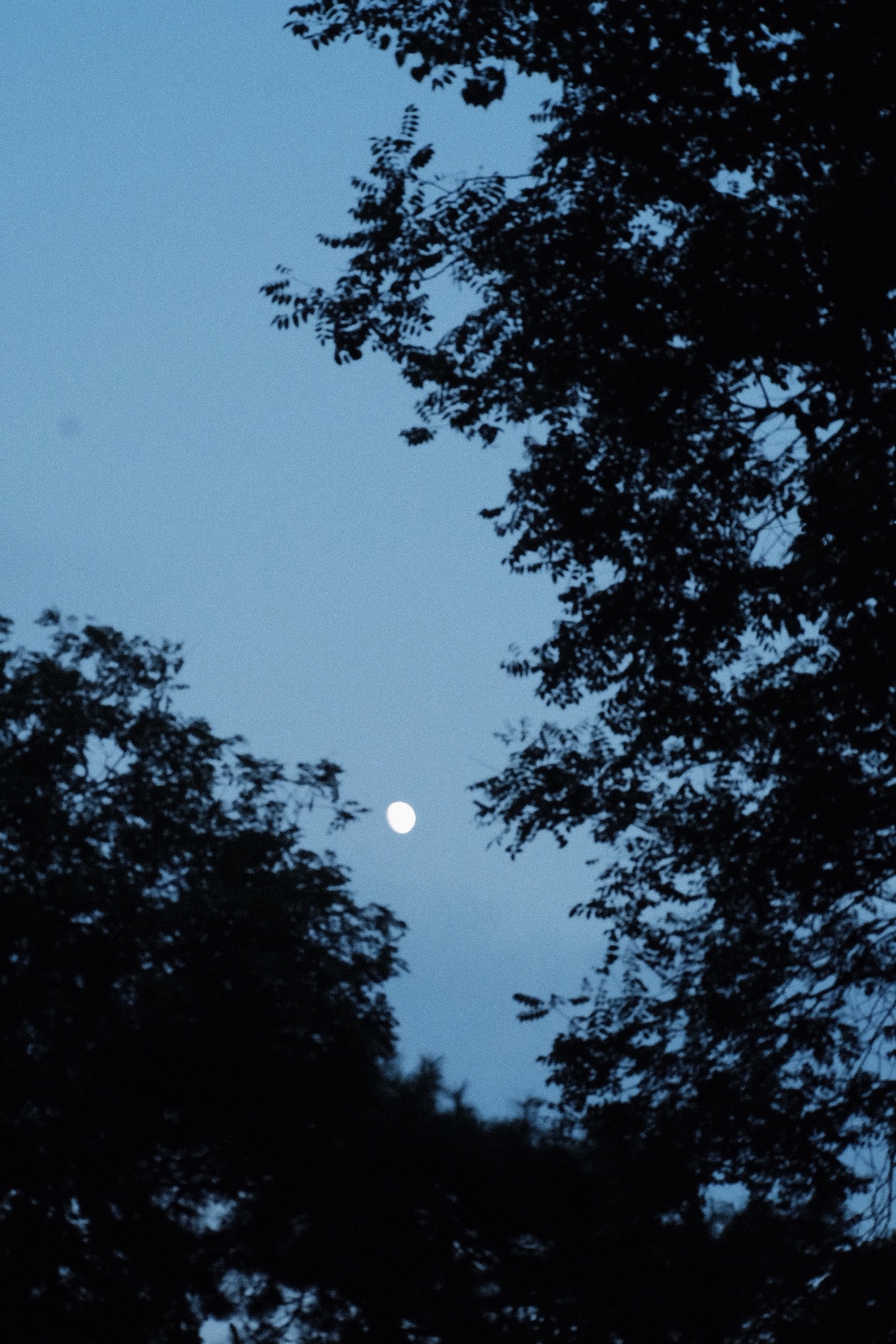 古诗中明月表达什么情感,古诗中明月与哪些情感有关