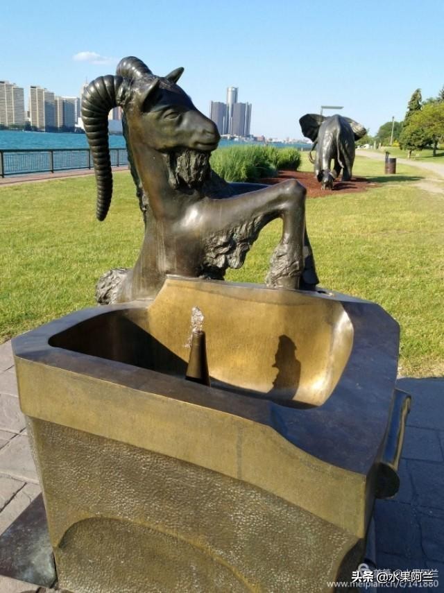 国际出行攻略,新西兰旅游攻略租车