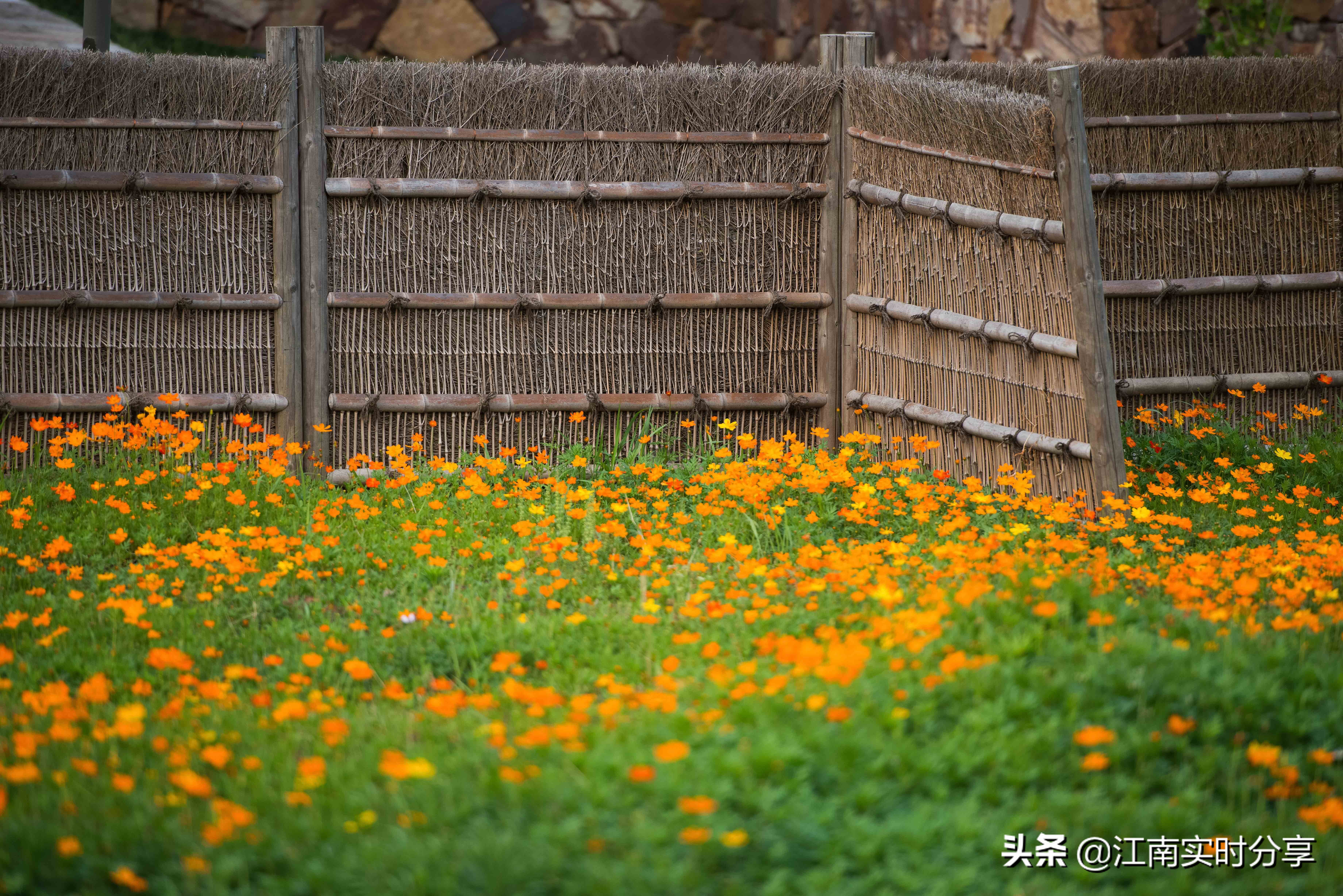 无锡自驾旅游景点推荐一日游攻略,无锡暑期旅游攻略
