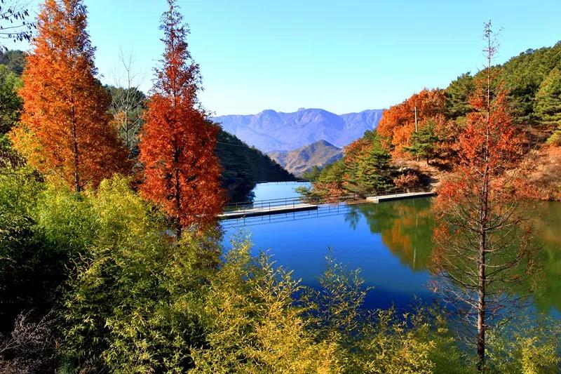 博山红叶谷门票优惠活动,博山十大免费红叶谷