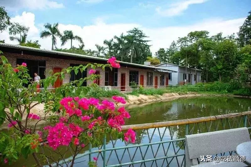 顺德人均100的农庄,顺德最顶级农庄