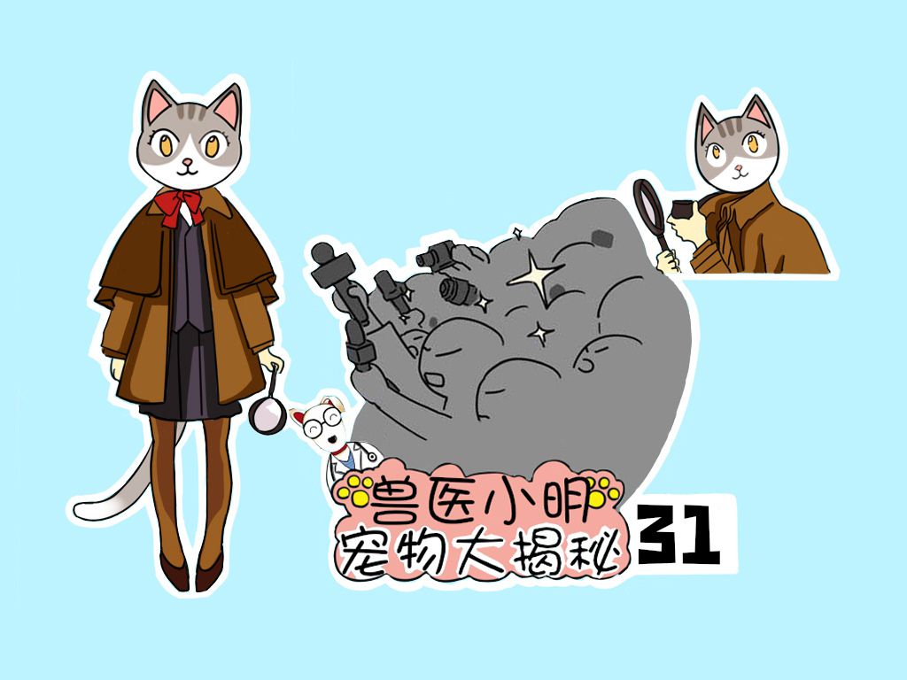 辟谣:猫咪肚子下有块赘肉是胖的吗?所见的胖或许不是胖