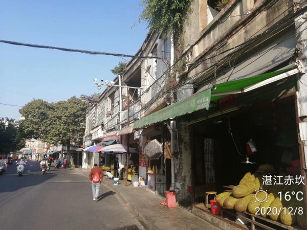 南国景色不曾秋,四时风光长如春,四)——广东行随笔之湛江篇