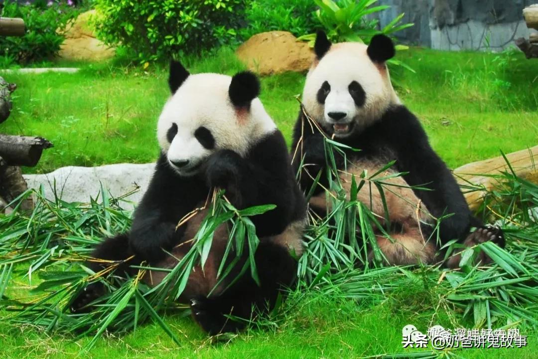 深圳市生日当天有什么福利,深圳生日福利攻略免费