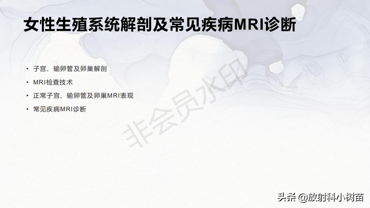 女性盆腔mri解剖图谱,泌尿生殖系统x线解剖