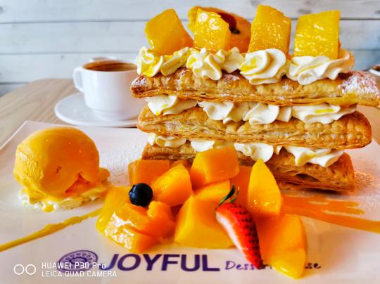 出境上网软件,上网神器天际通