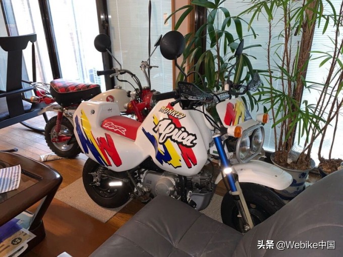 本田猴子水货,本田猴子国内仿品