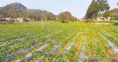 卧这古城萌新芽——重访乌江之六冲河纪行第三十三辑