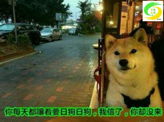 暖通设计师需要什么知识,暖通设计师简历