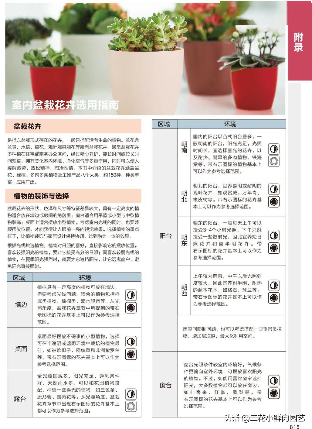 鍥壓鑺卞崏绉嶆鐭ヨ瘑鍏ラ棬,鑺卞崏鍥壓濡備綍鍏ラ棬